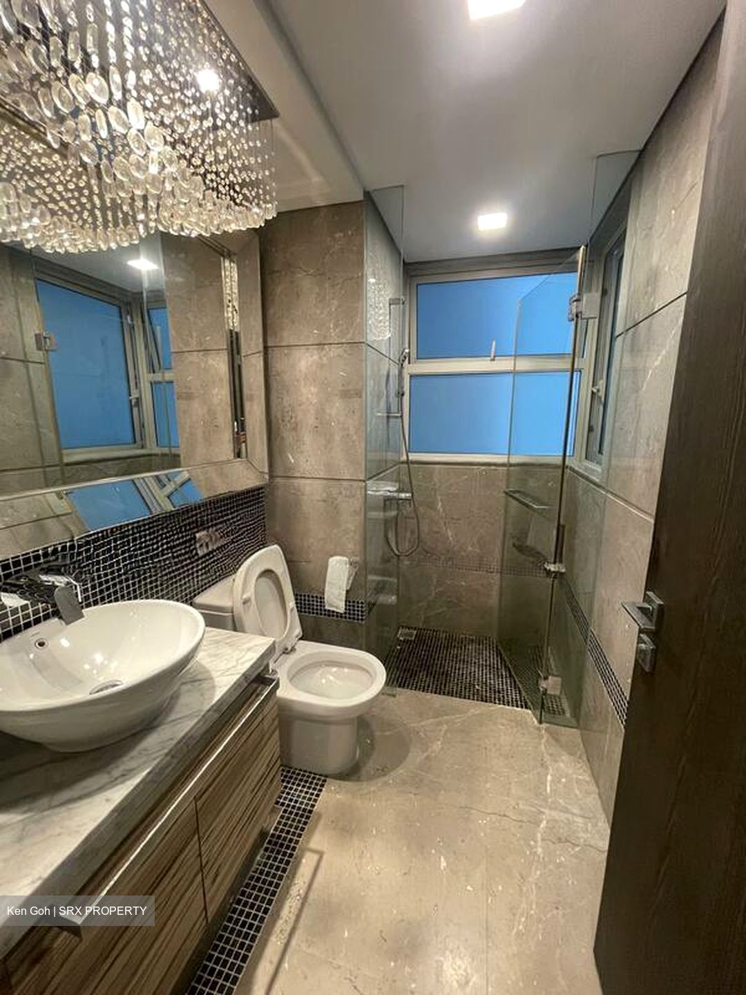 The Vision (D5), Condominium #525320381